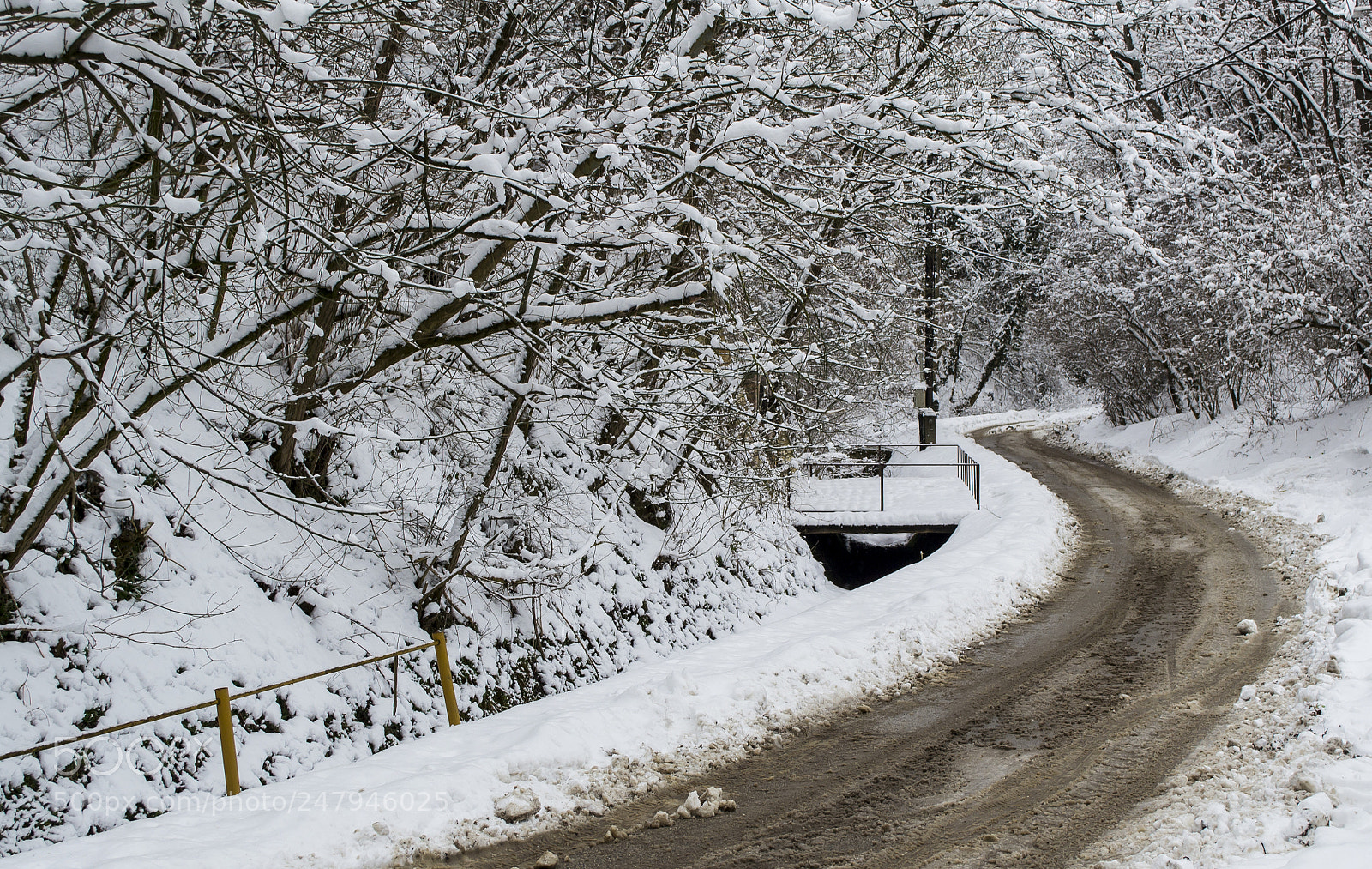 Nikon D3100 sample photo. T li s ....winter photography