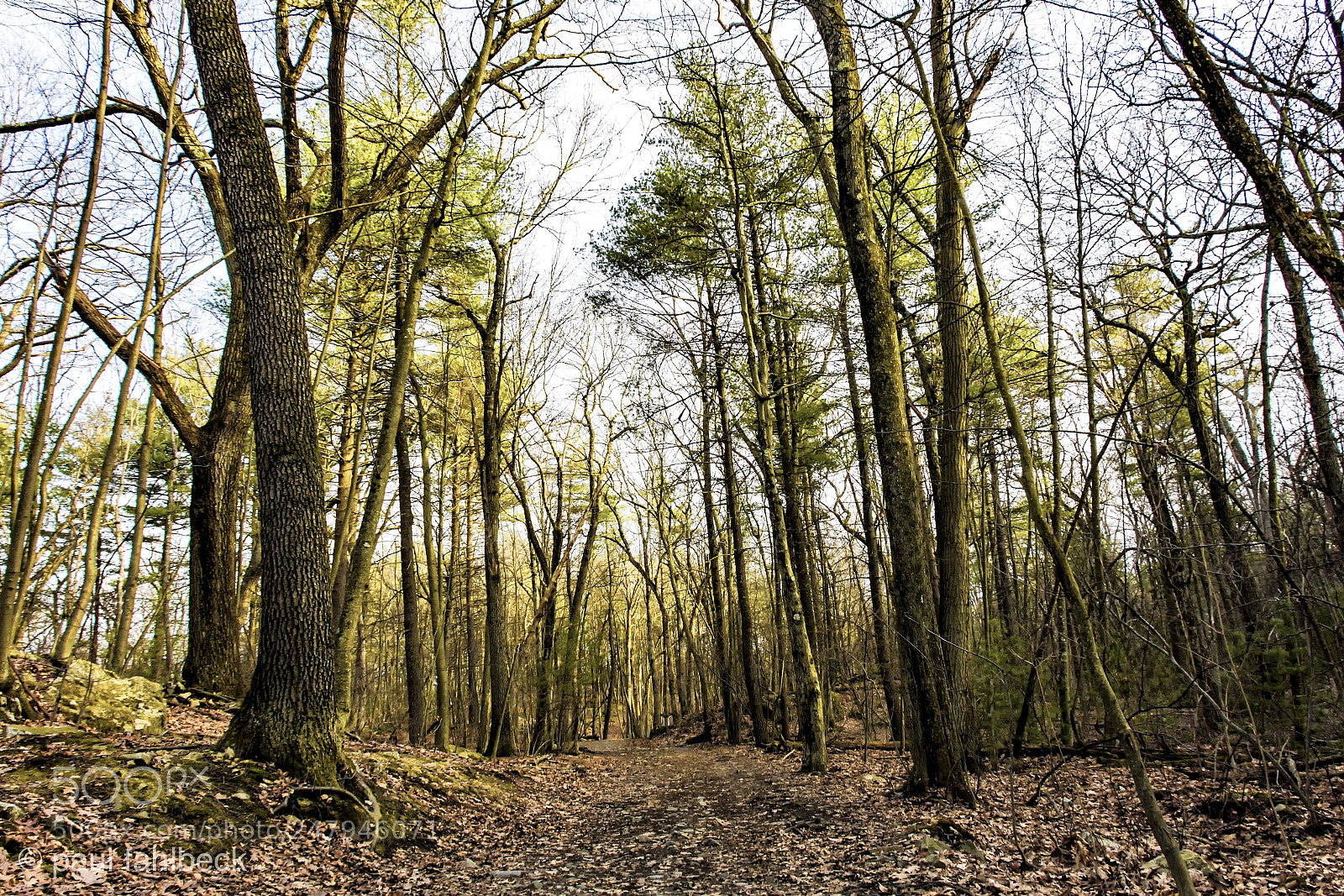 Nikon D7200 sample photo. Thursday photography