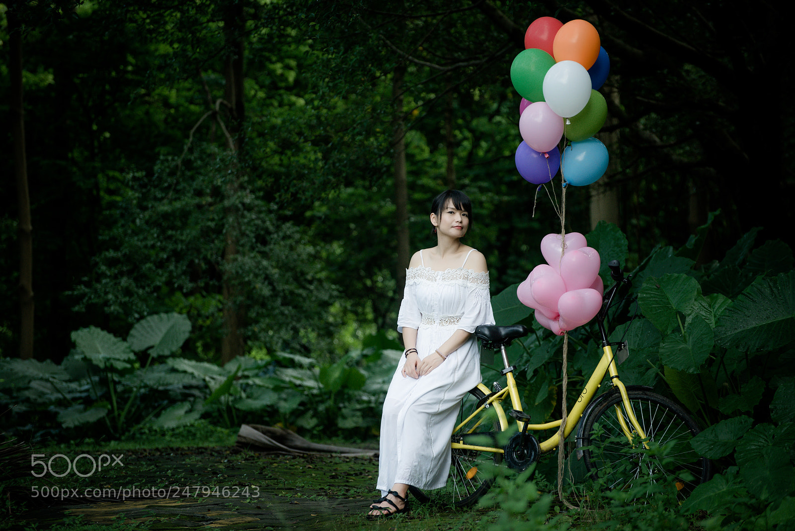 Nikon D810 sample photo. Bd photography