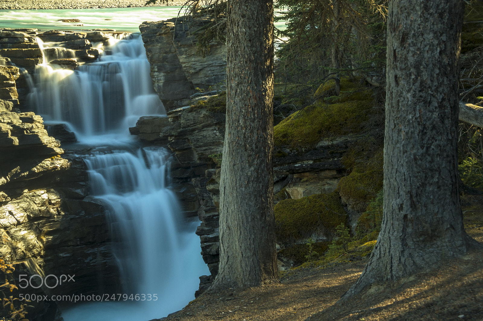 Nikon D500 sample photo. Athabasca falls photography