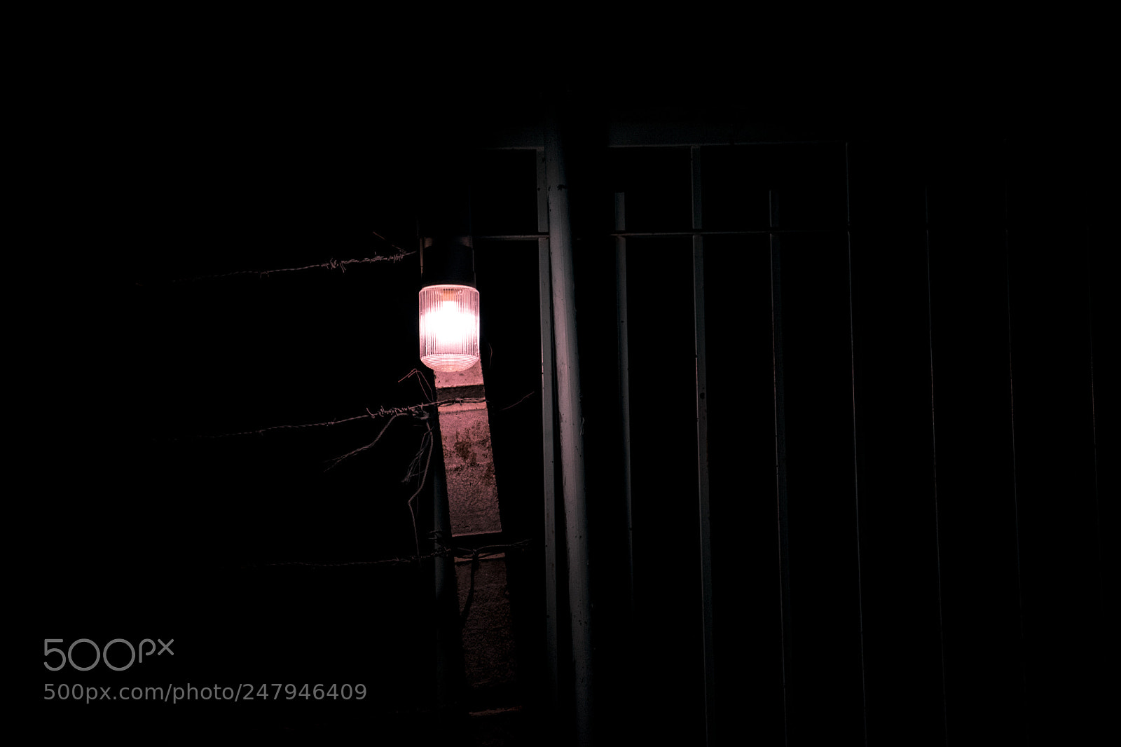 Nikon D5200 sample photo. Nyctophilia photography