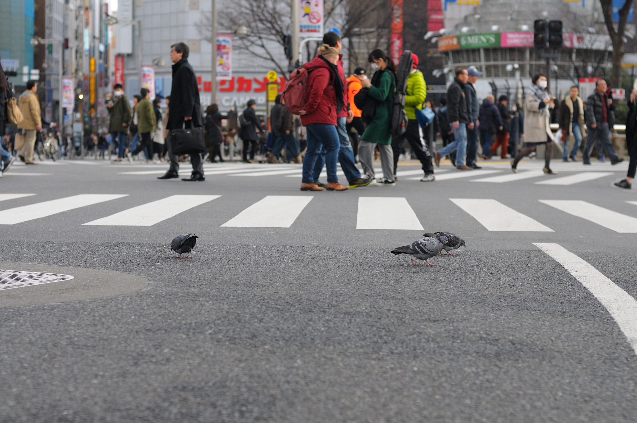 Nikon D300 + Nikon AF Nikkor 50mm F1.4D sample photo. Shinjuku, tokyo photography