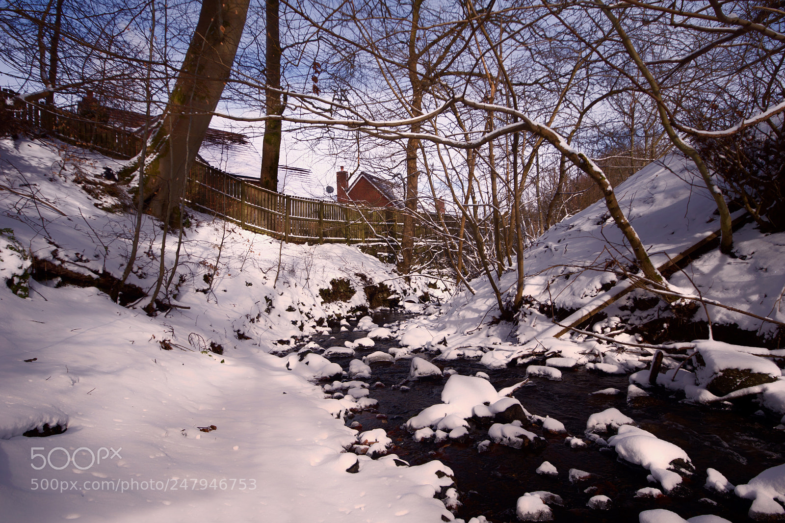 Sony ILCA-77M2 sample photo. The return of winter photography