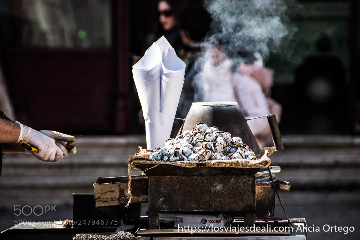 Nikon D5500 sample photo. Chestnuts at lisbon photography