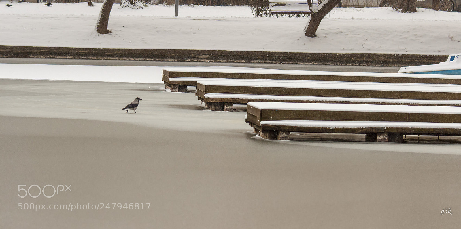 Canon EOS 600D (Rebel EOS T3i / EOS Kiss X5) sample photo. Last days of winter photography