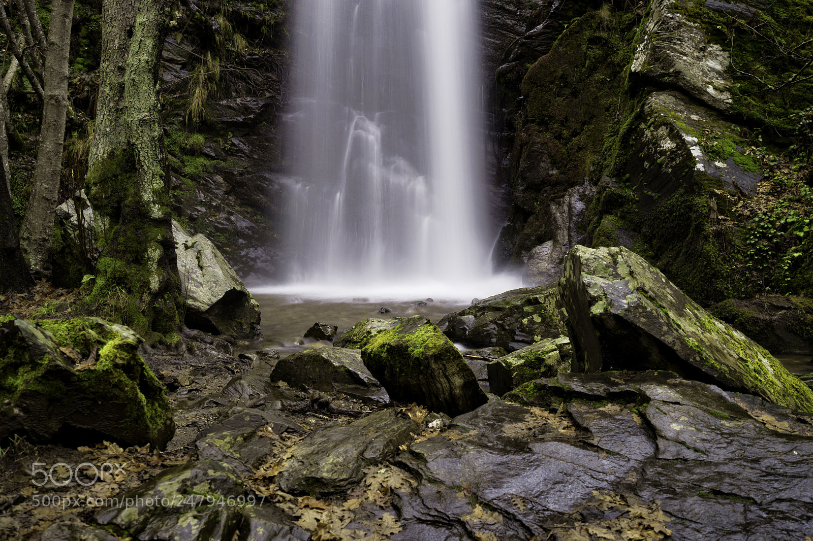 Sony a7 II sample photo. Water and stones photography