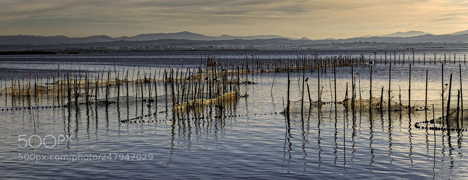 Sony a7R II sample photo. Panorama photography