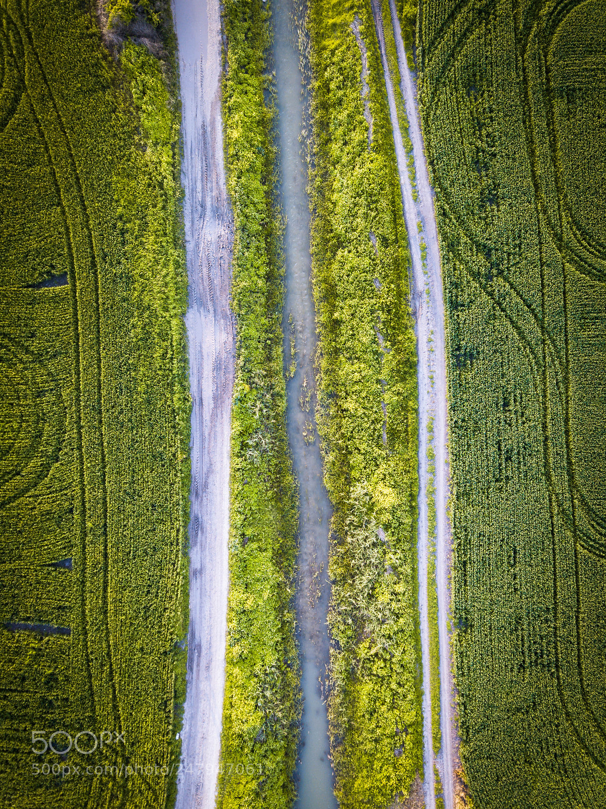 DJI FC220 sample photo. River vibes photography