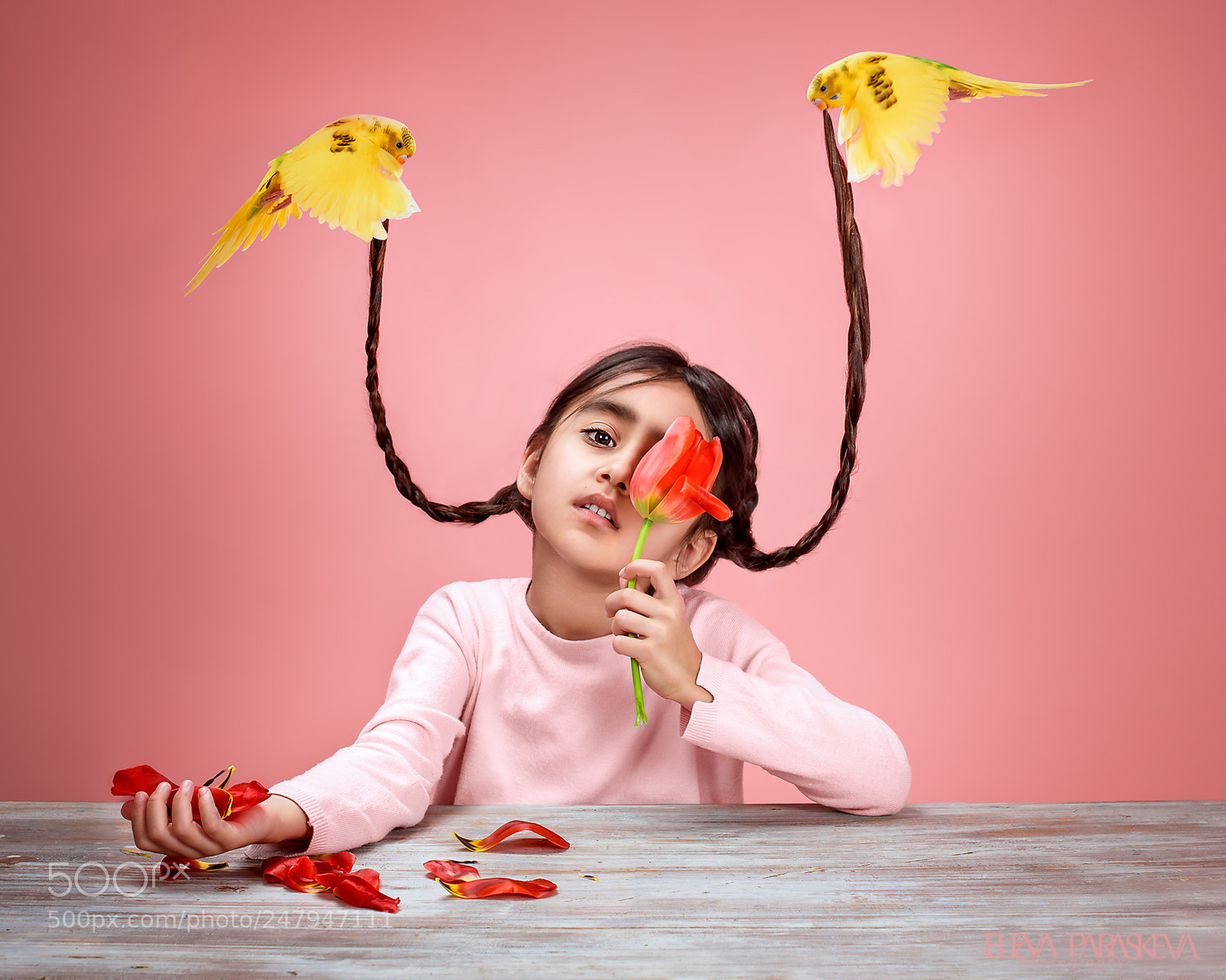 Nikon D810 sample photo. Life with tweety photography