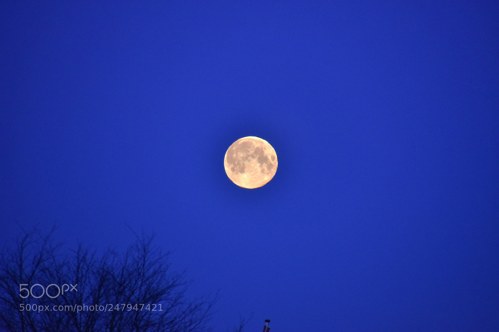Nikon D3400 sample photo. Full moon this morning photography