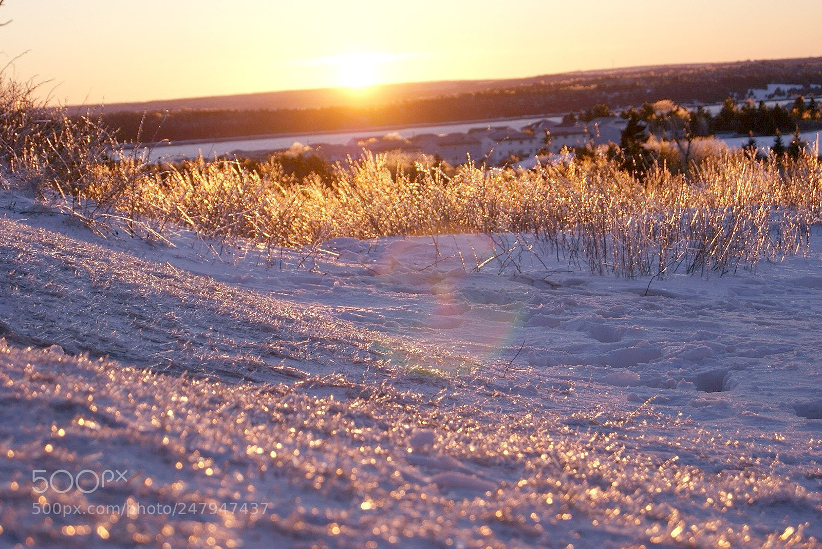 Sony Alpha DSLR-A330 sample photo. Frozen sunset photography