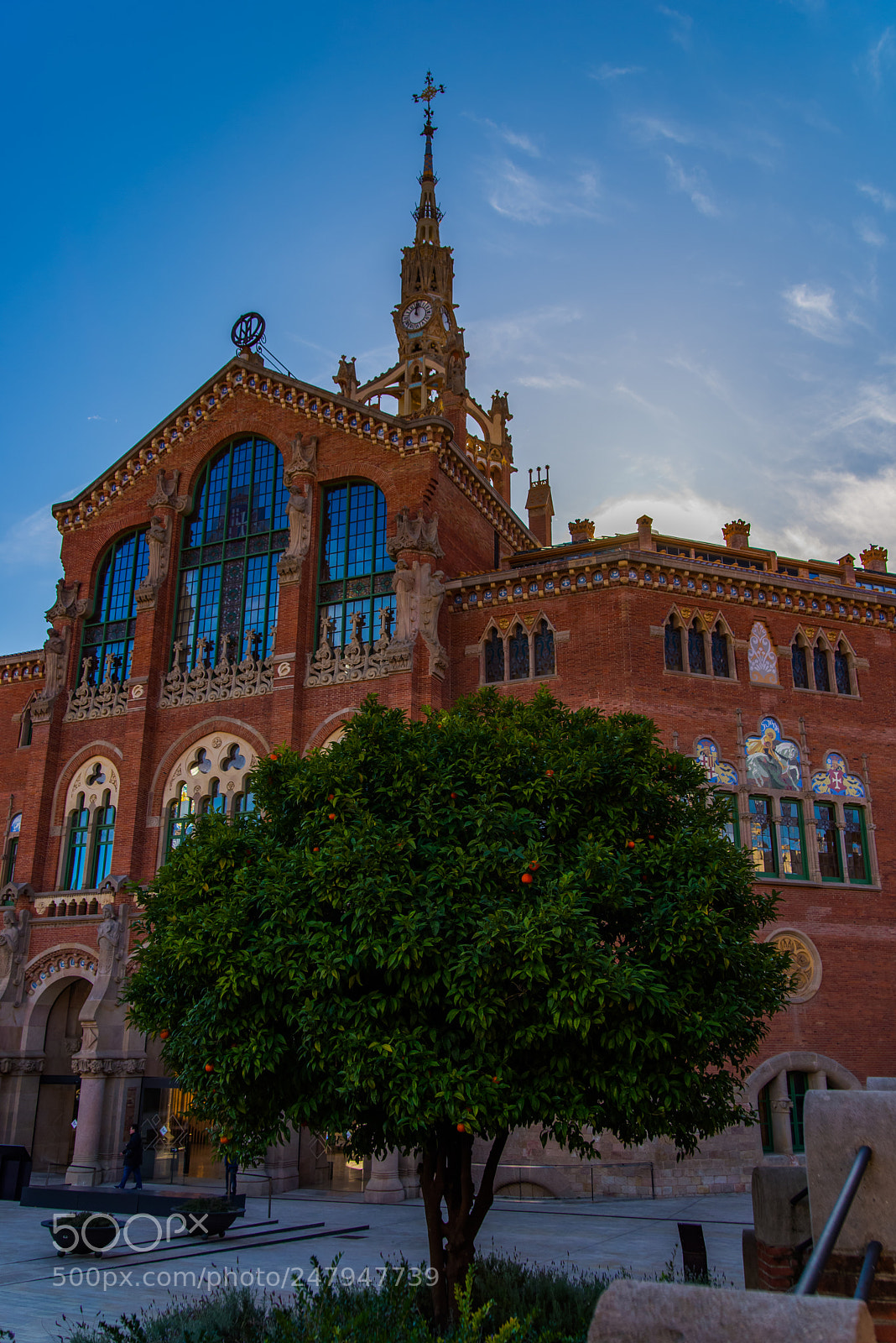 Nikon D610 sample photo. Hospital sant pau barcelona photography