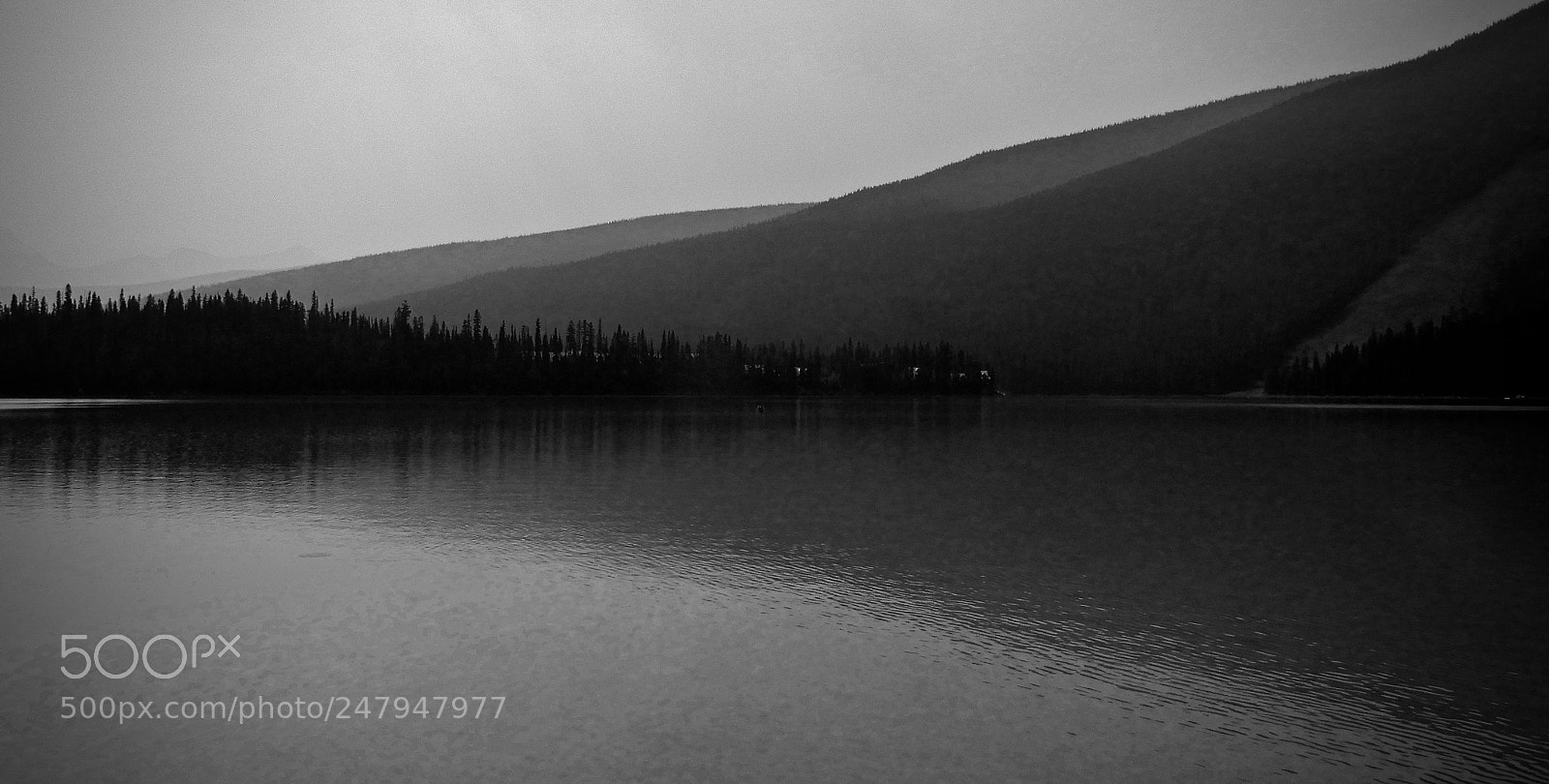 Nikon Coolpix A900 sample photo. The lake photography