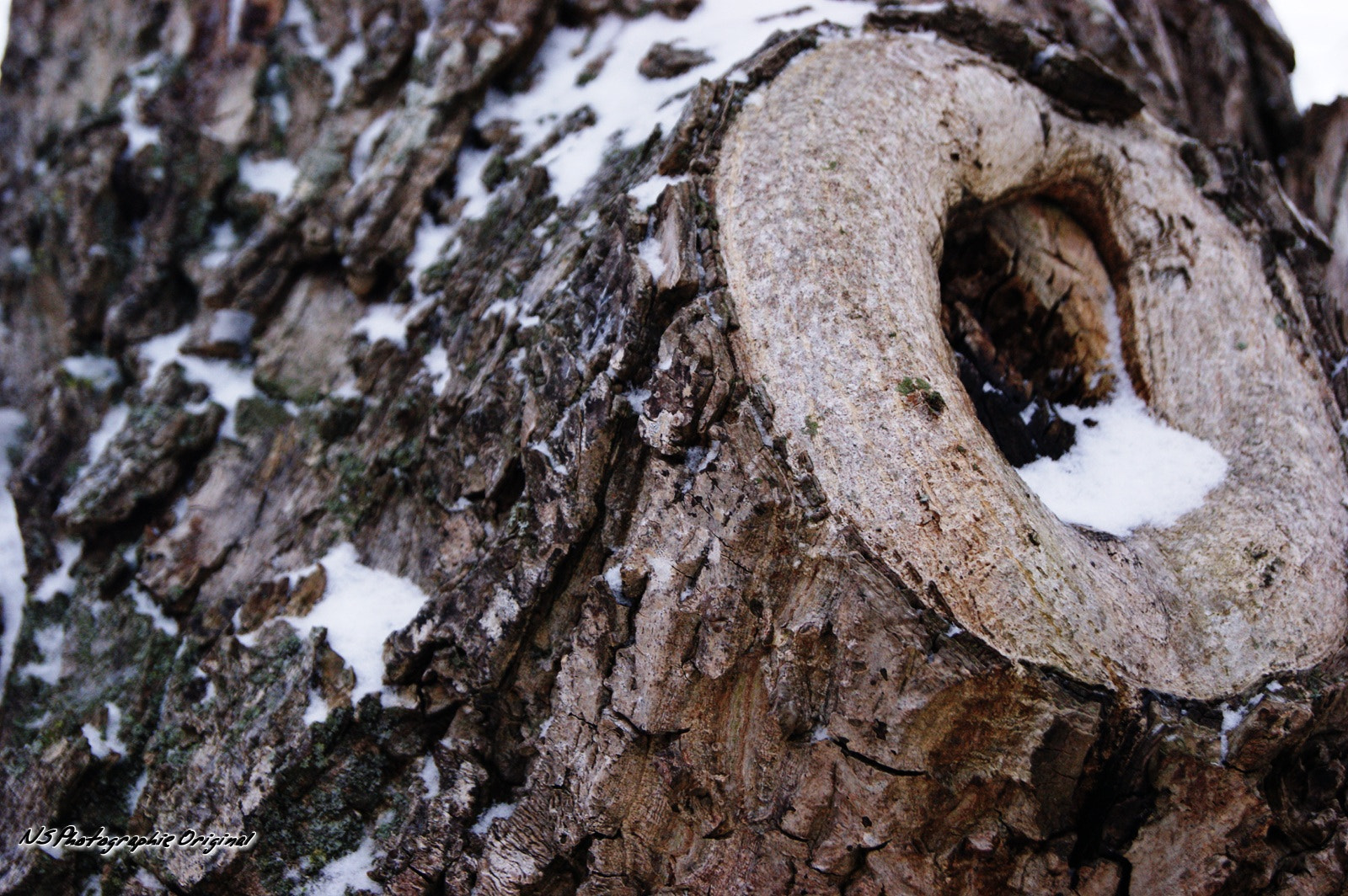 Sony Alpha DSLR-A380 sample photo. Https://www.facebook.com/ns.photographie.original photography