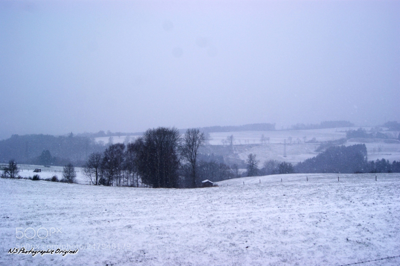 Sony Alpha DSLR-A380 sample photo. Https www.facebook.com ns.photographie.original photography