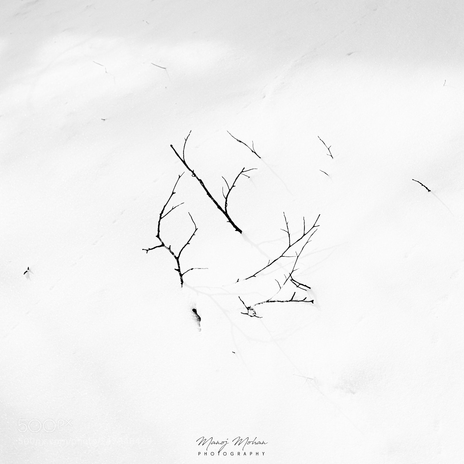Sony ILCA-77M2 sample photo. Patterns on snow photography