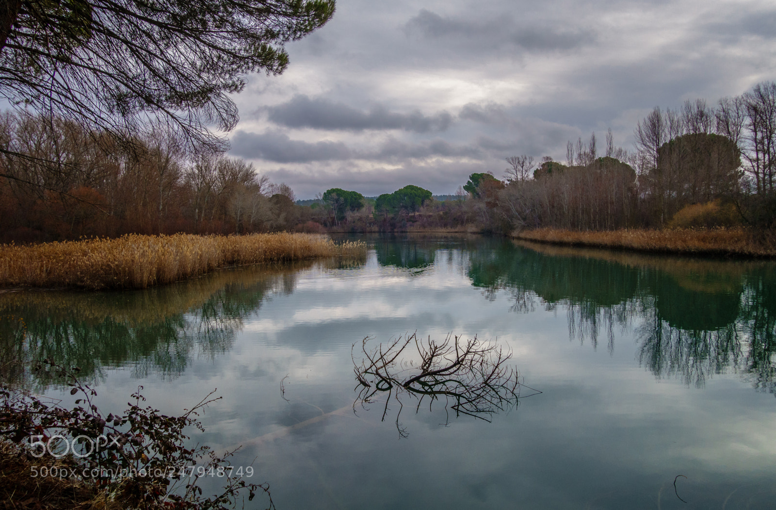 Sony Cyber-shot DSC-RX100 II sample photo. 2017 río júcar (6) photography
