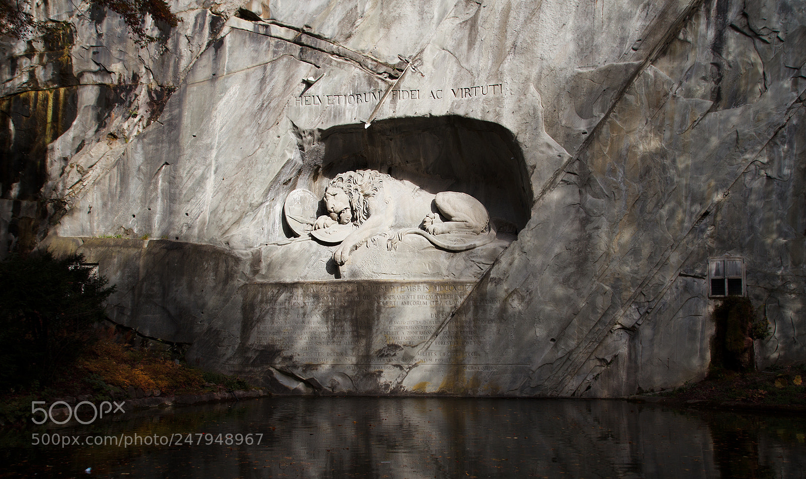 Canon EOS 60D sample photo. The dying lion of photography