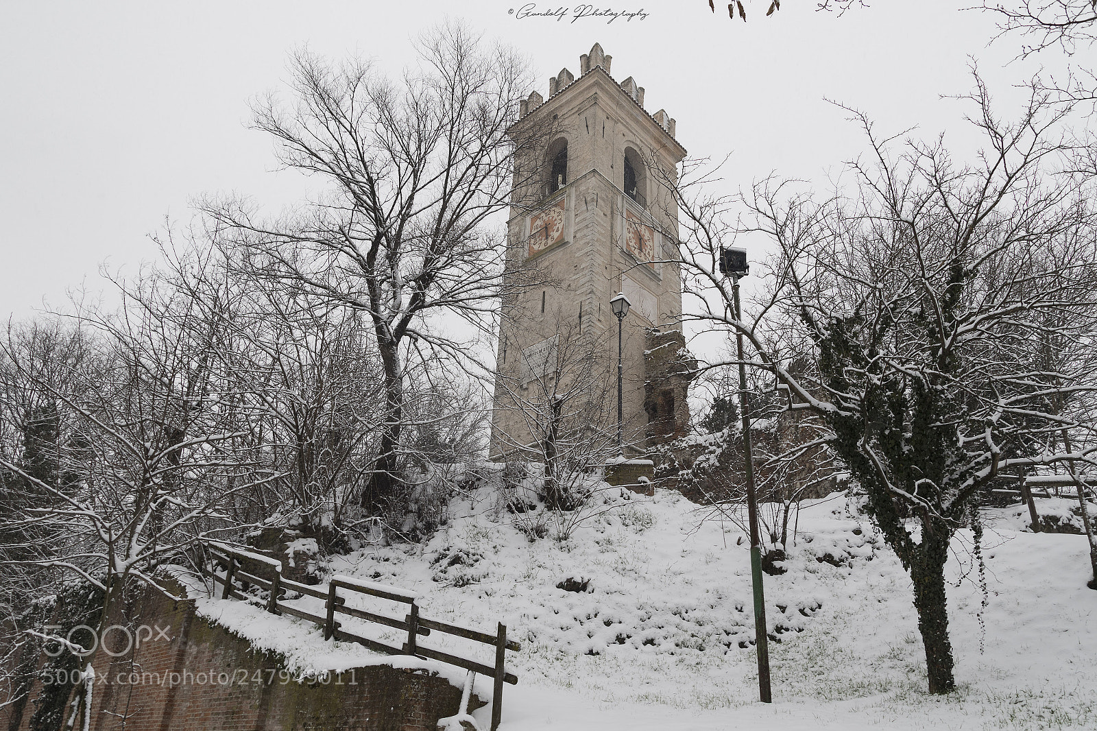 Canon EOS 7D Mark II sample photo. The snow photography