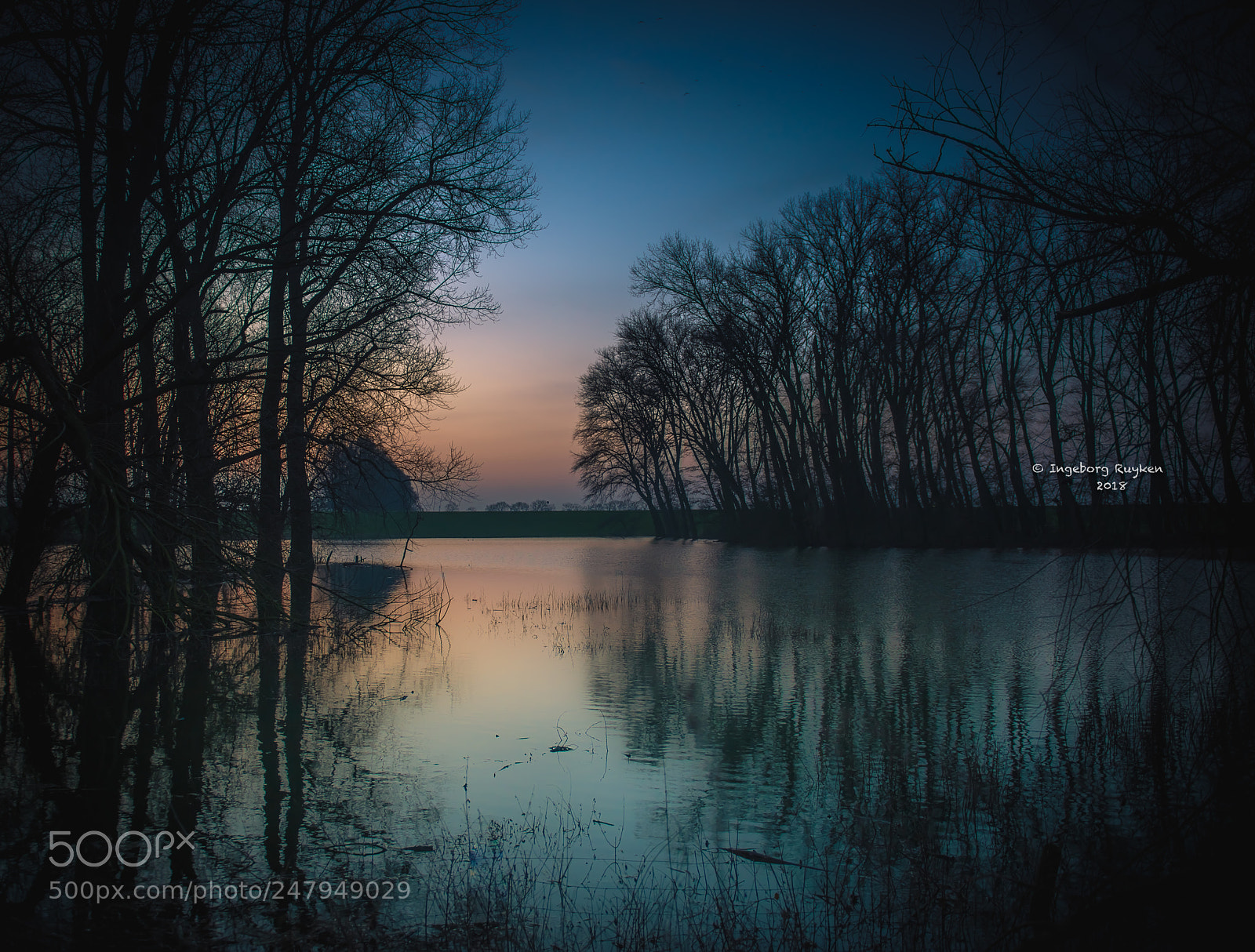 Nikon D800 sample photo. Empel - groote wiel 3044 photography