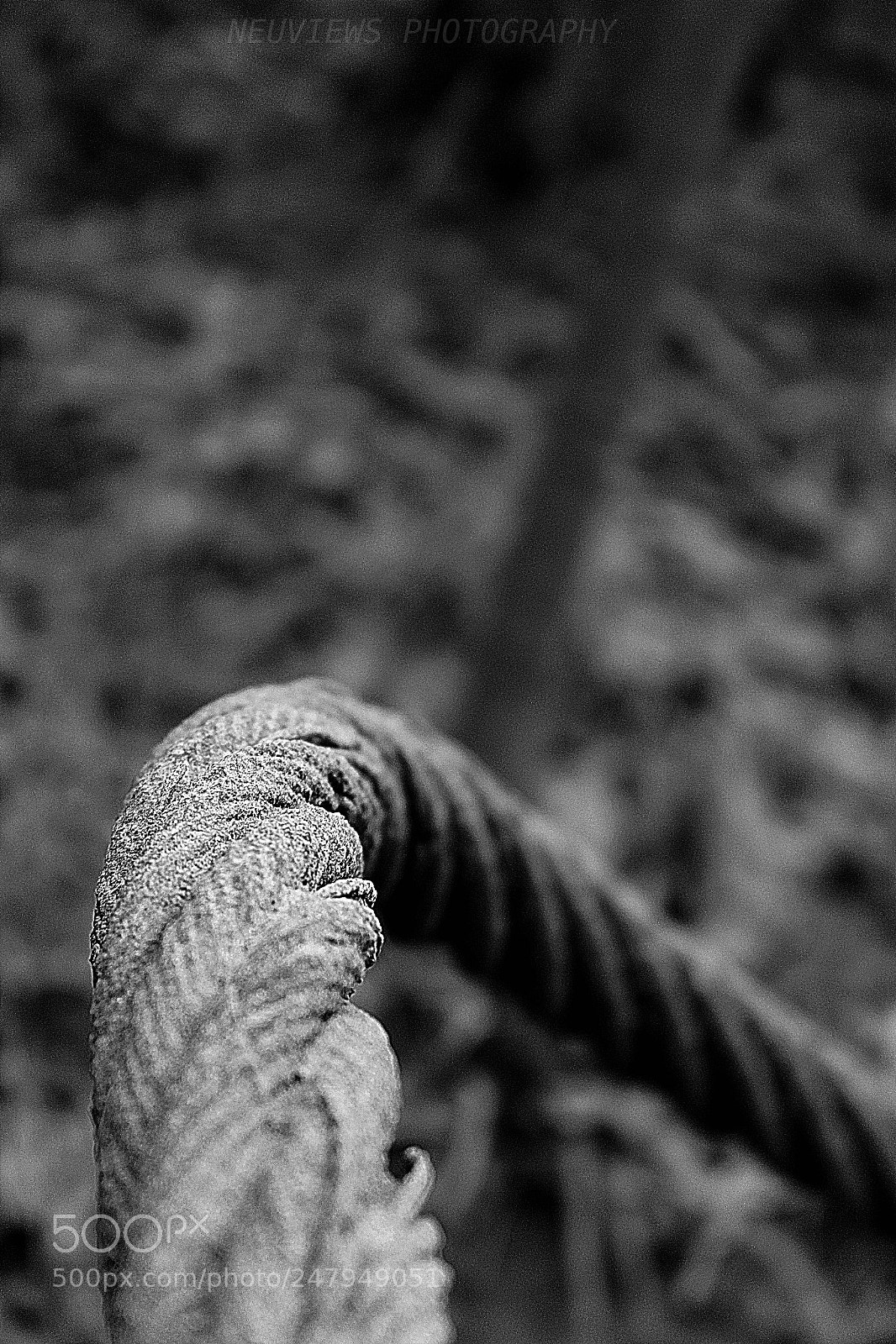 Canon EOS 1300D (EOS Rebel T6 / EOS Kiss X80) sample photo. Bwcaplenp photography