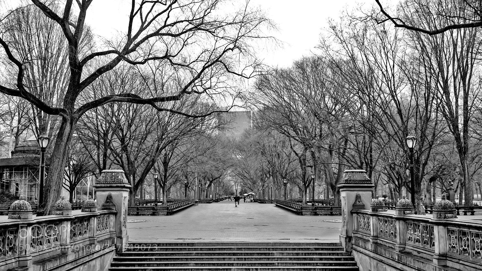 Sony a7 II sample photo. Nyc stroll photography