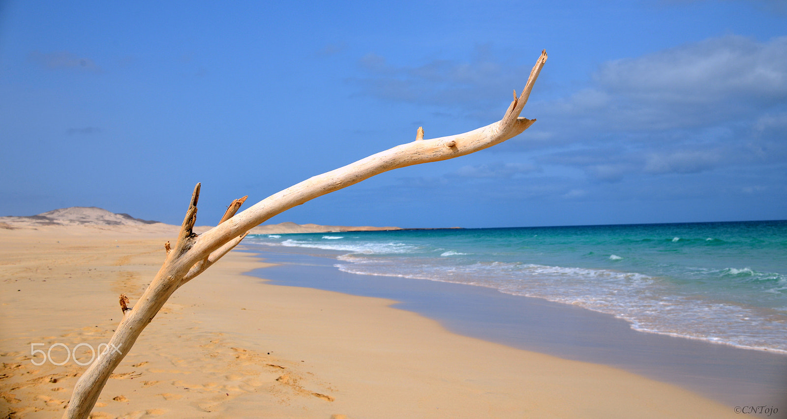 Nikon D610 + Nikon AF-S DX Nikkor 35mm F1.8G sample photo. Alone in the beach photography