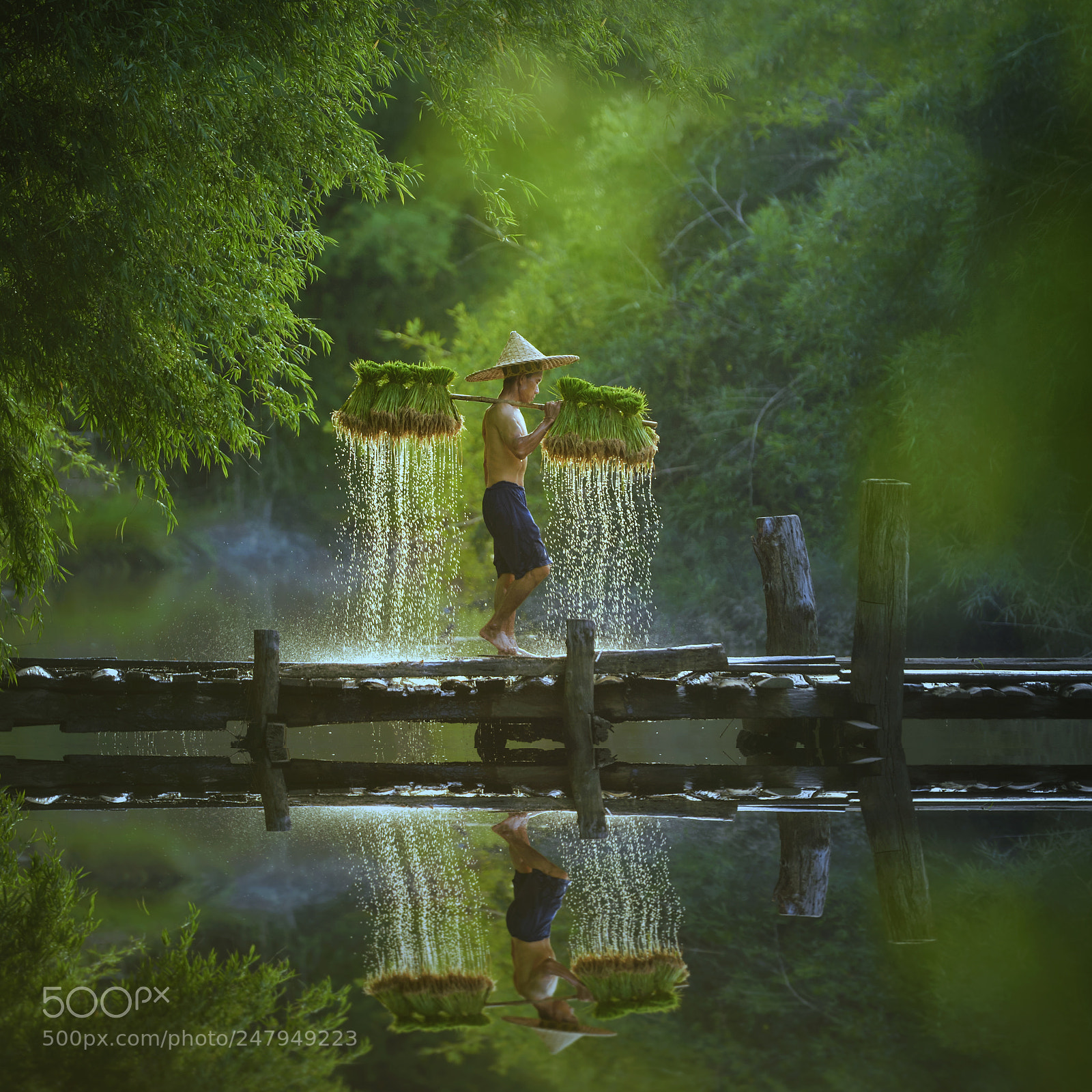 Nikon D4 sample photo. Farmer,thailand photography