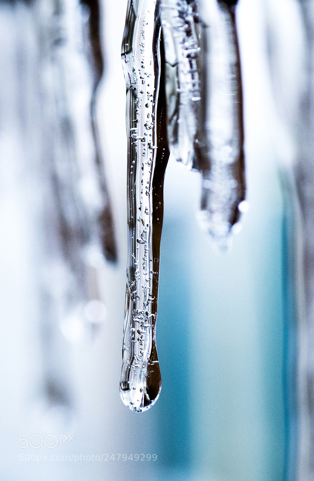 Nikon D850 sample photo. Icicles photography
