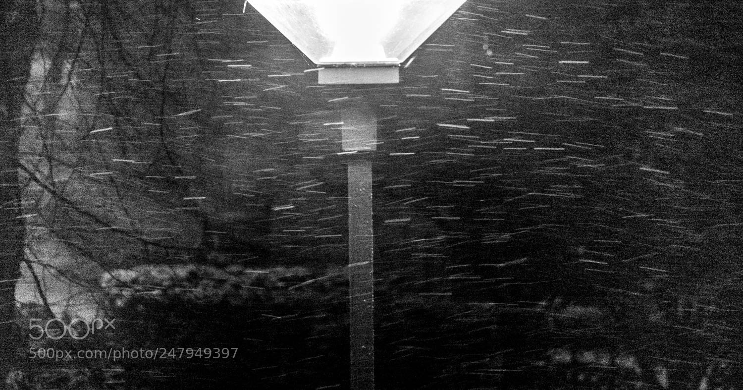 Panasonic Lumix DMC-GX85 (Lumix DMC-GX80 / Lumix DMC-GX7 Mark II) sample photo. Snow photography