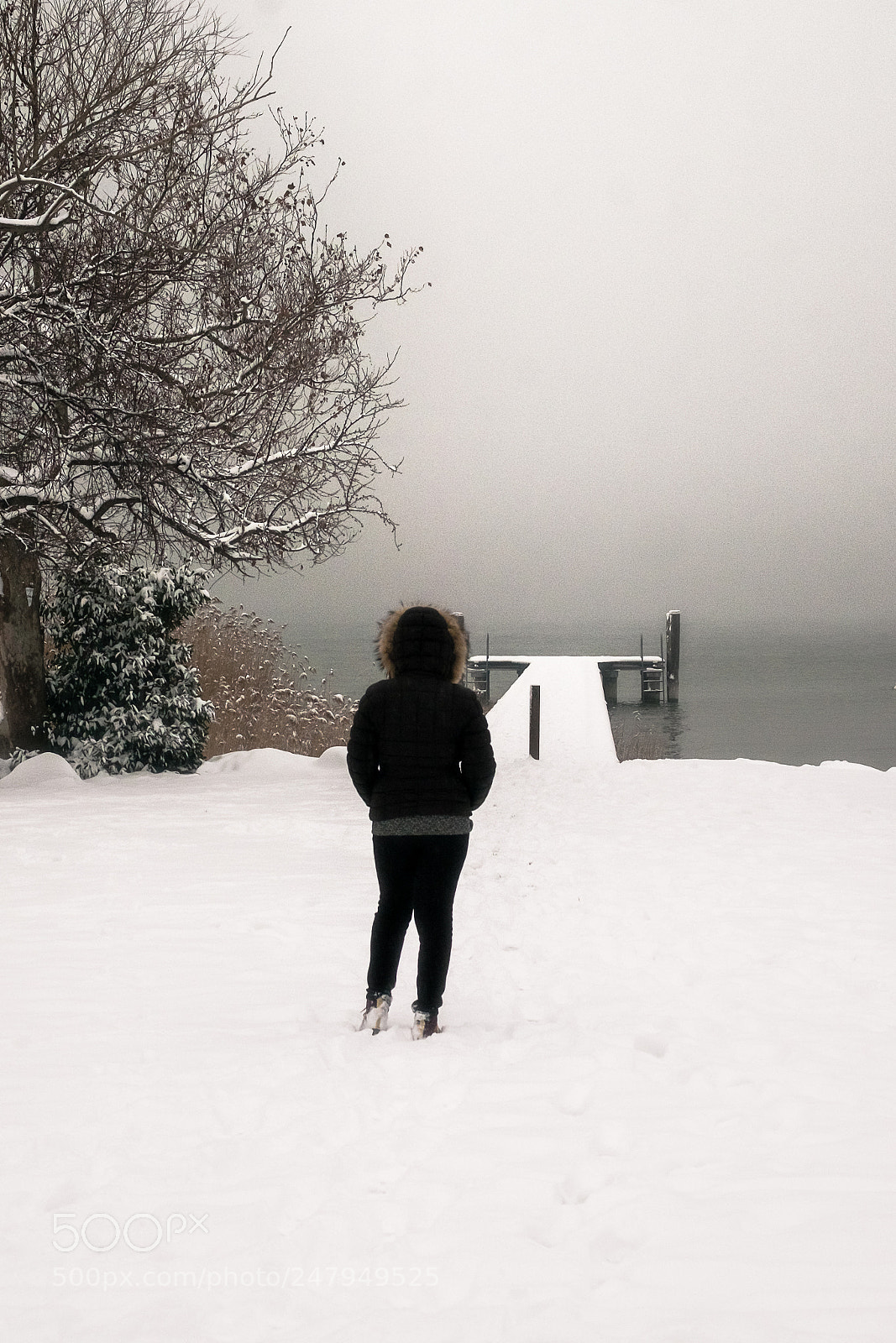 Fujifilm X-T10 sample photo. .. quattro passi nella neve #2 ... photography