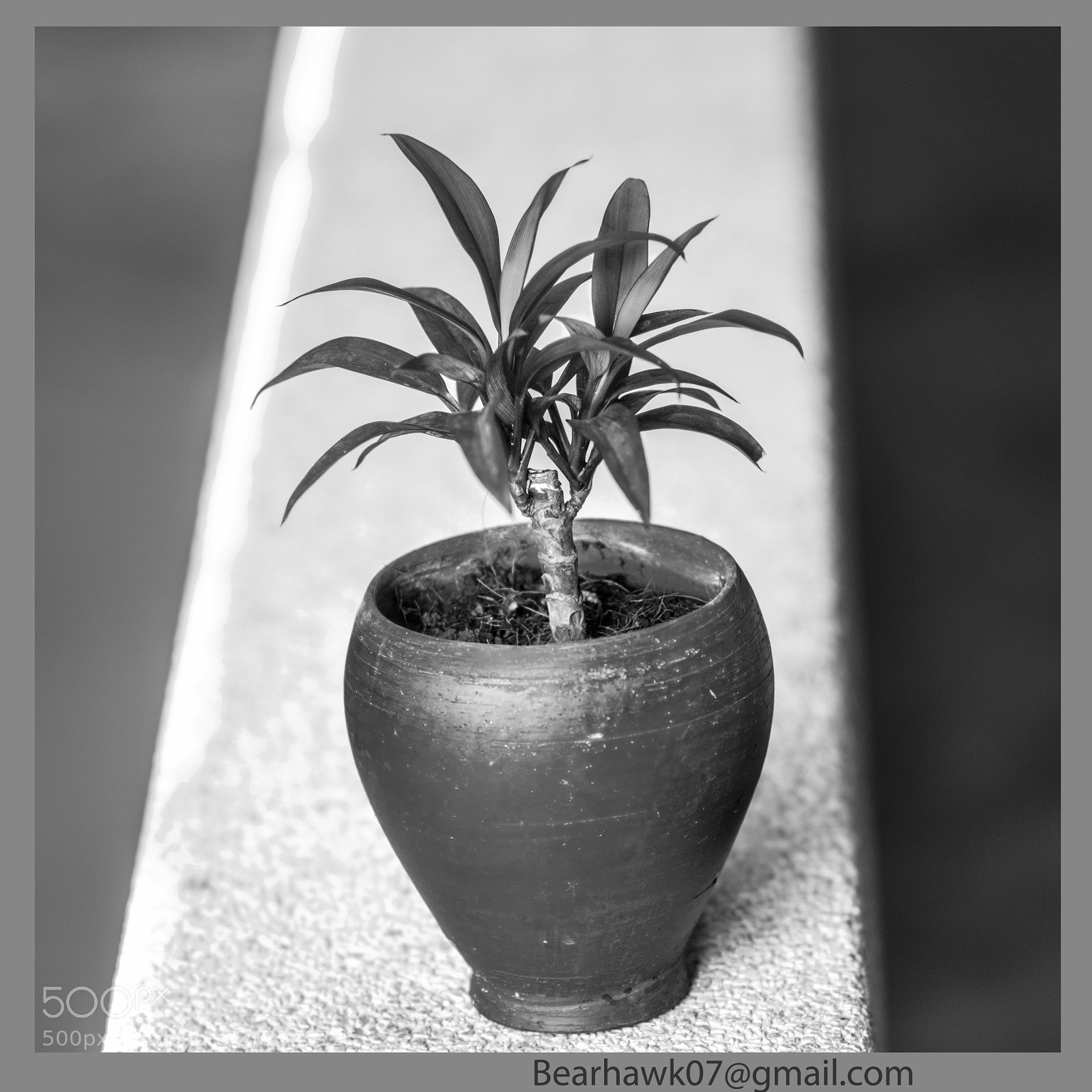 Nikon D7200 sample photo. 20180302_1495.jpg photography