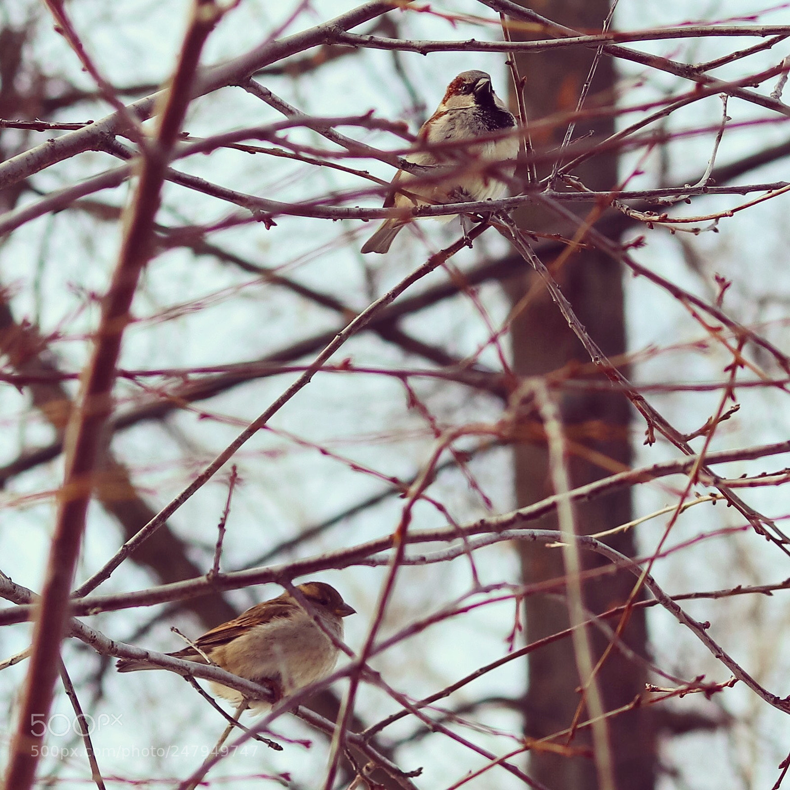 Canon EOS M6 sample photo. Untitled photography