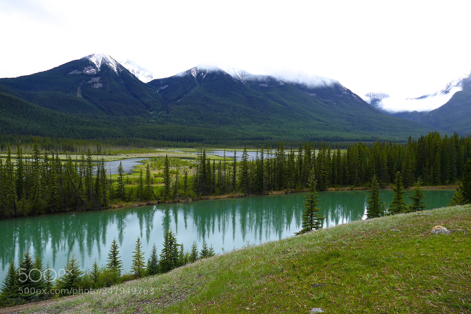 Leica V-Lux (Typ 114) sample photo. Banff in fog photography