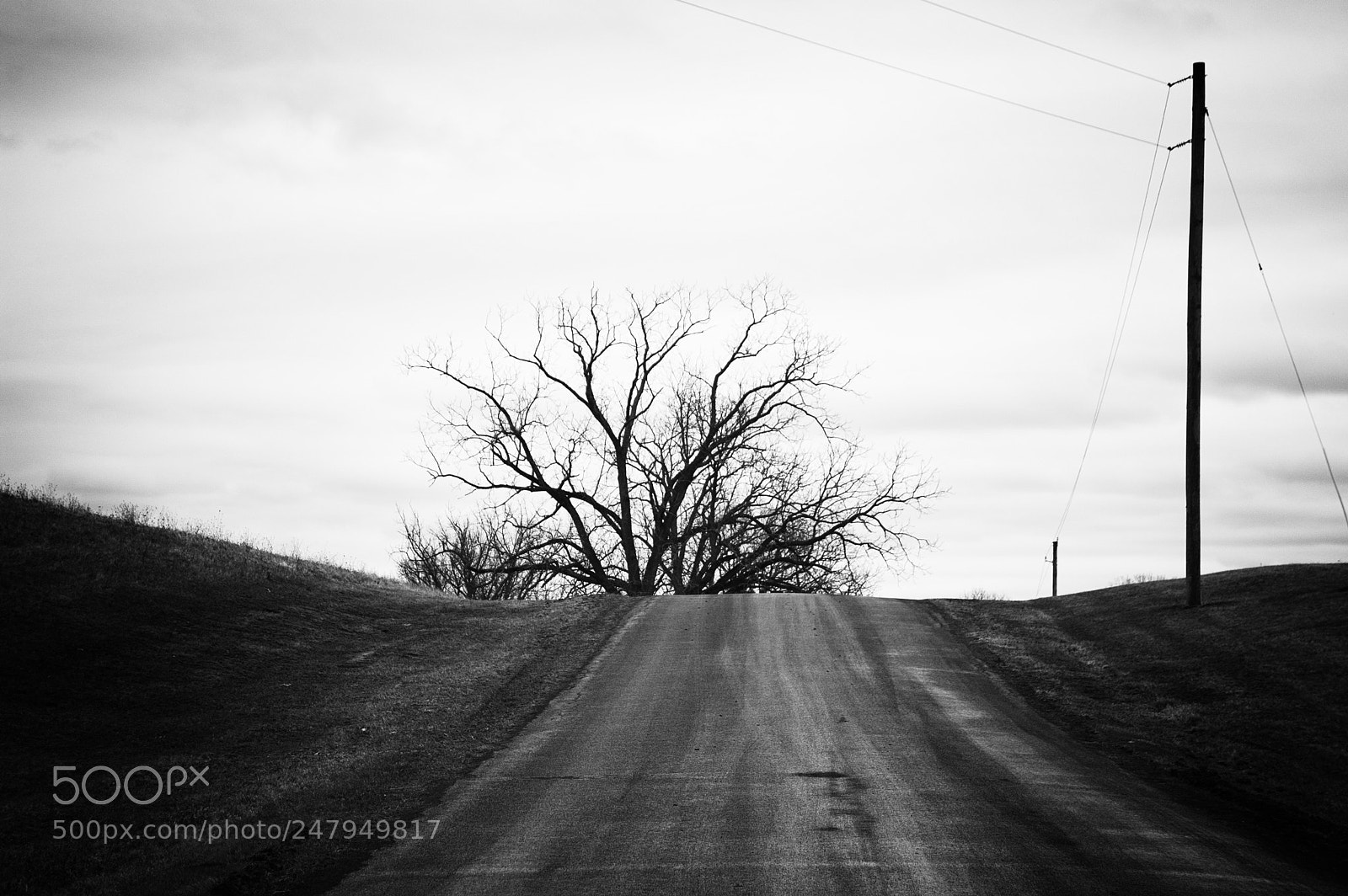 Nikon D40 sample photo. Over the ridge photography