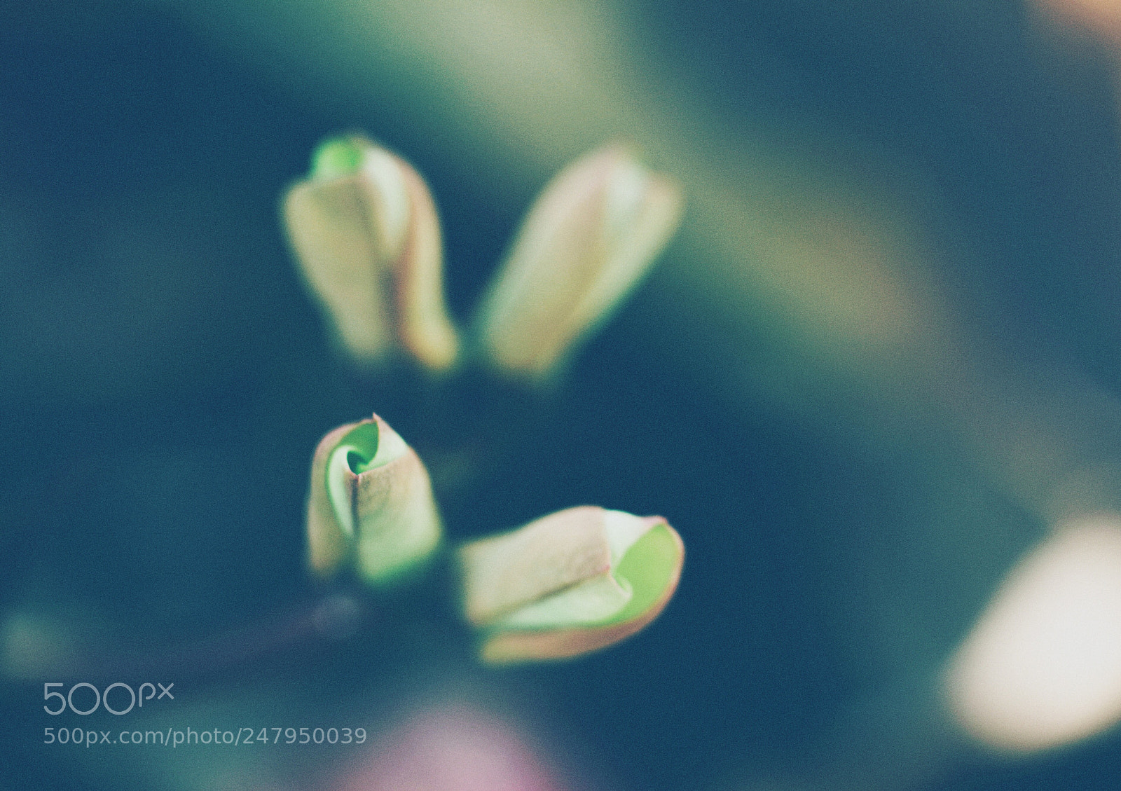 Canon EOS 600D (Rebel EOS T3i / EOS Kiss X5) sample photo. Abyss photography