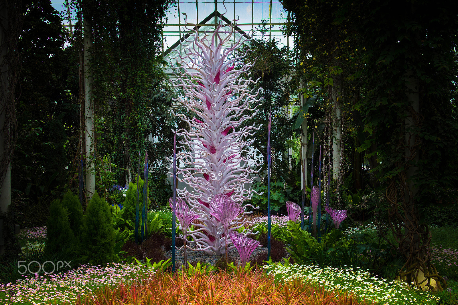 Sony SLT-A99V sample photo. Dale chihuly's art work photography