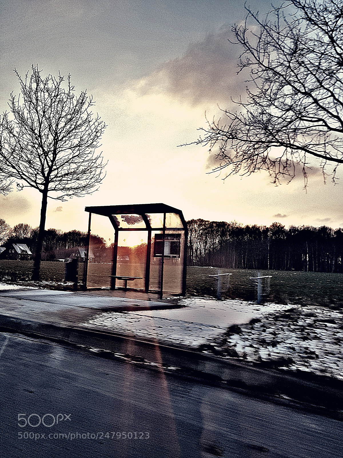 Samsung Galaxy S8+ sample photo. Untitled photography