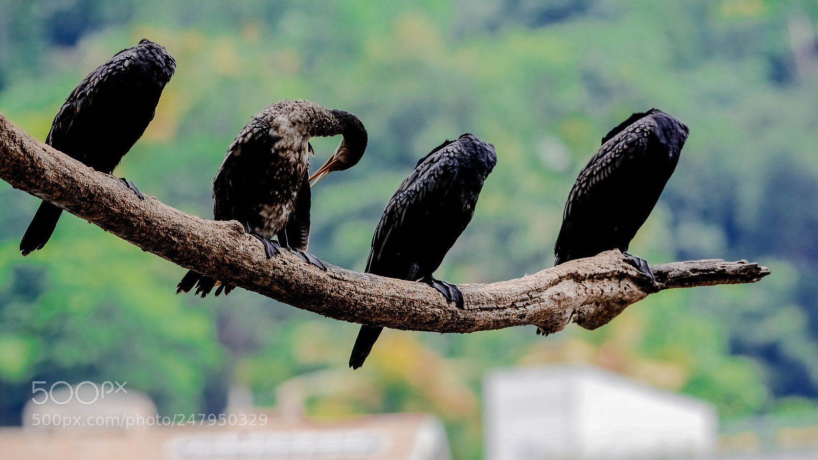 Nikon D7100 sample photo. Difference photography