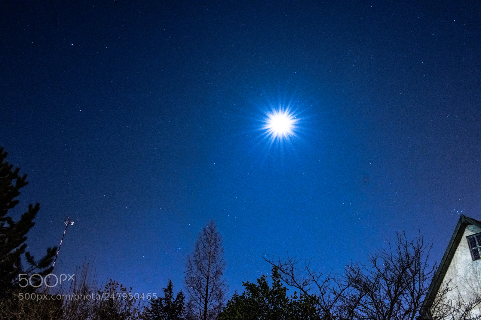 Nikon D3400 sample photo. Garden nightscape photography