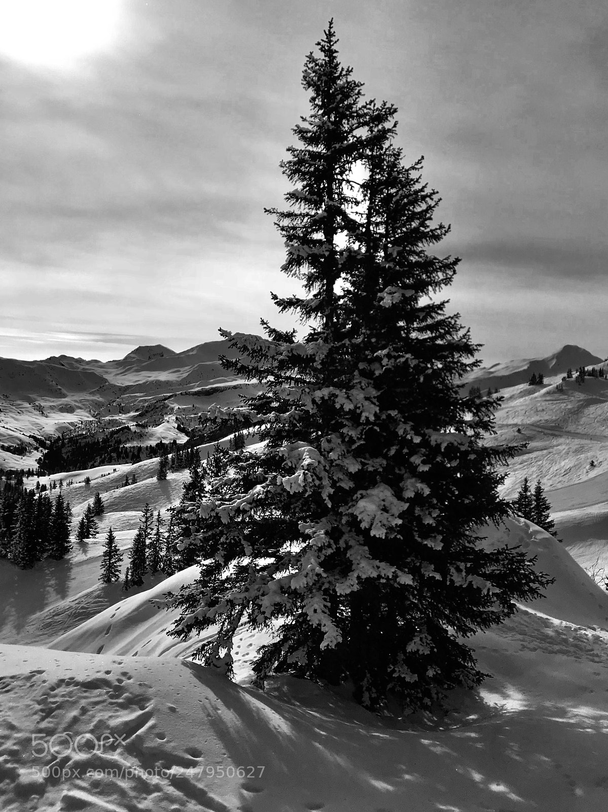 Apple iPhone 7 sample photo. Areches photography