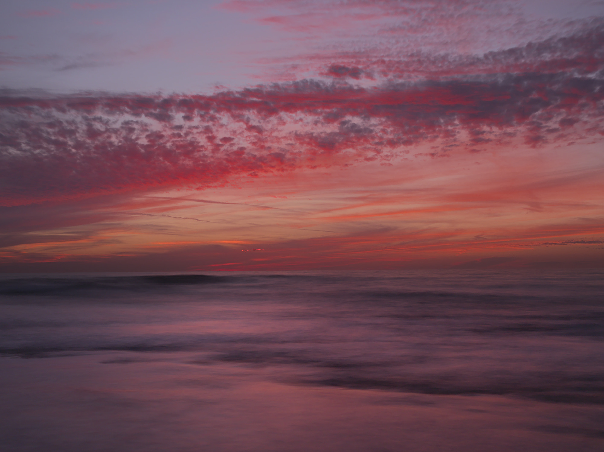 Olympus PEN E-PM2 sample photo. Crimson march 2 photography