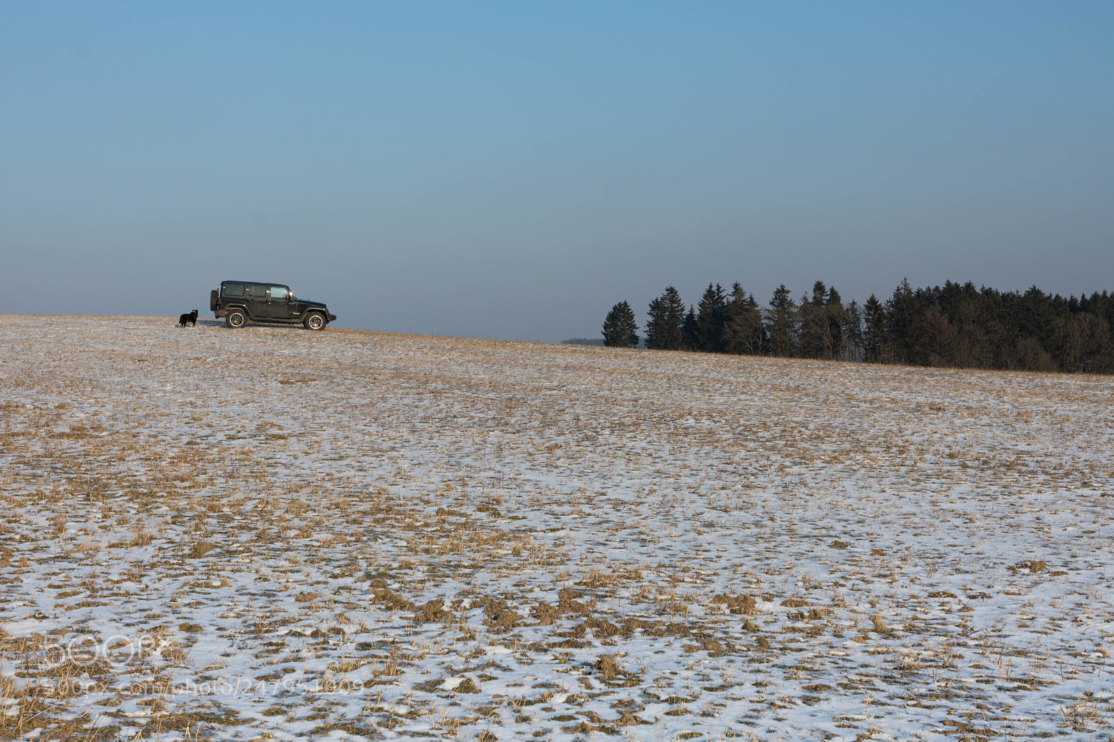 Nikon D7200 sample photo. Waiting photography