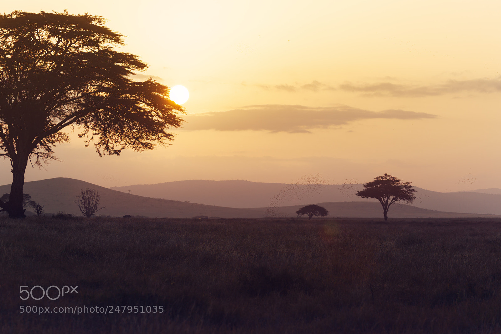 Canon EOS 5D Mark II sample photo. Sunset  in kenya photography