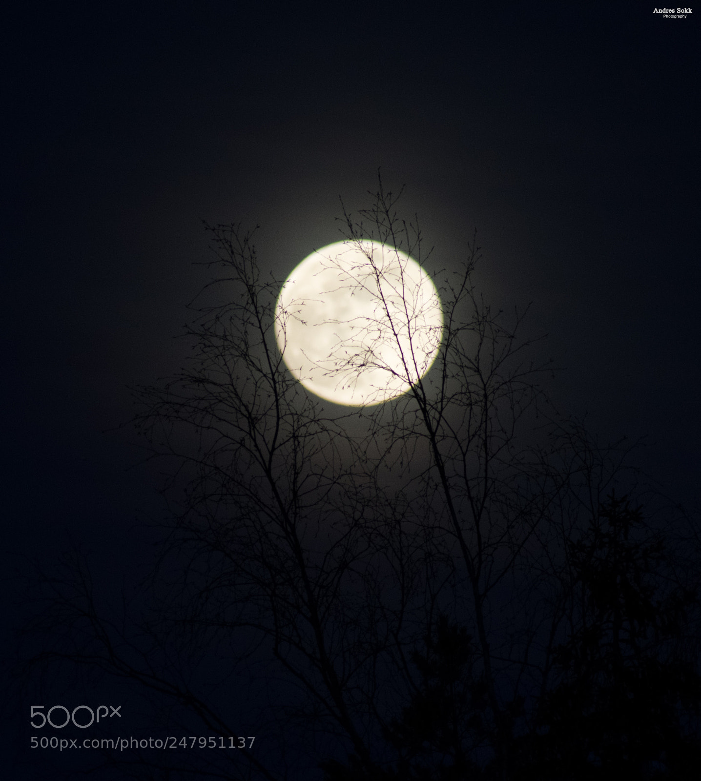 Nikon D3400 sample photo. Moon photo photography