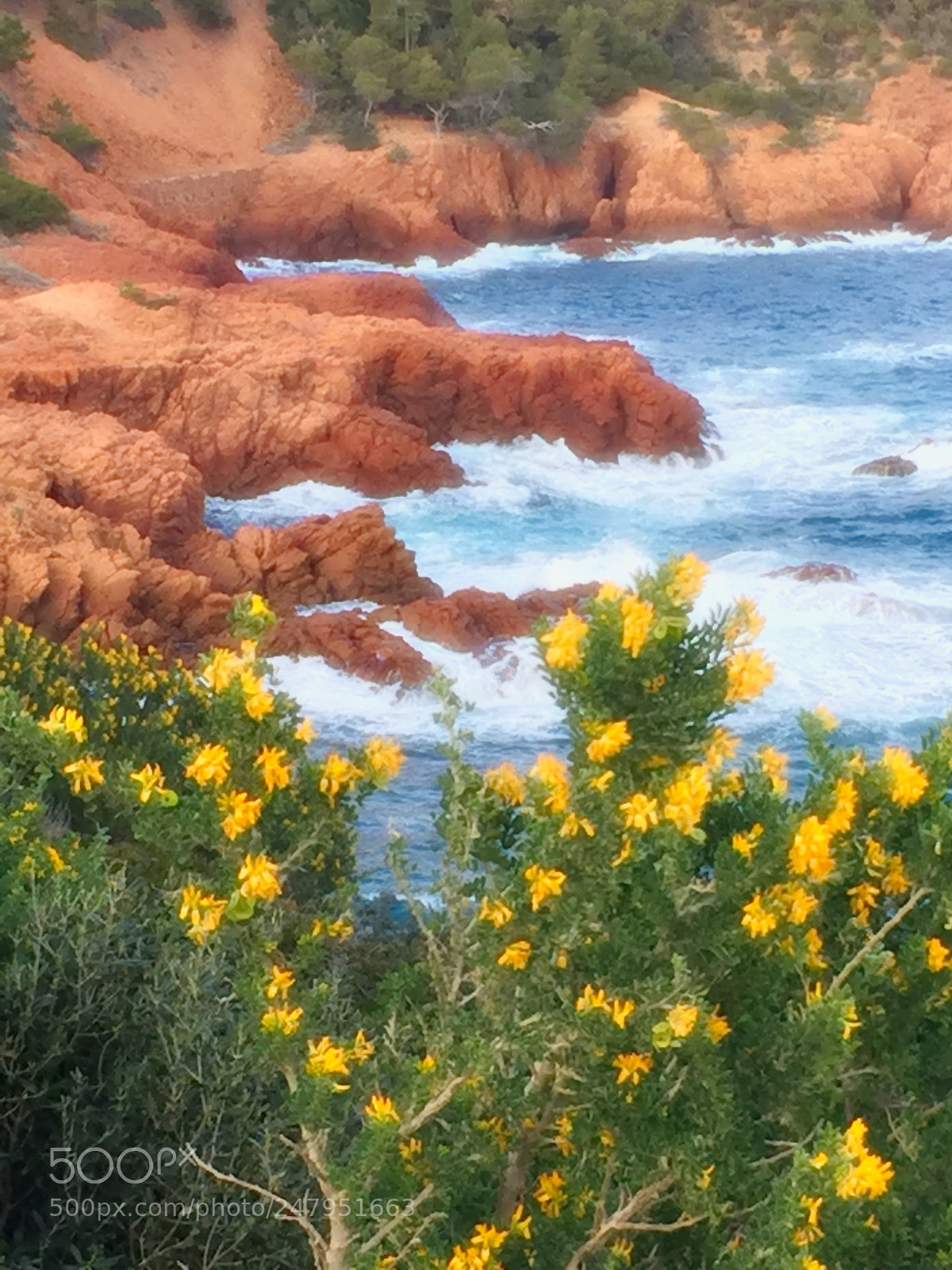 Apple iPhone 6 Plus sample photo. Dreamland photography