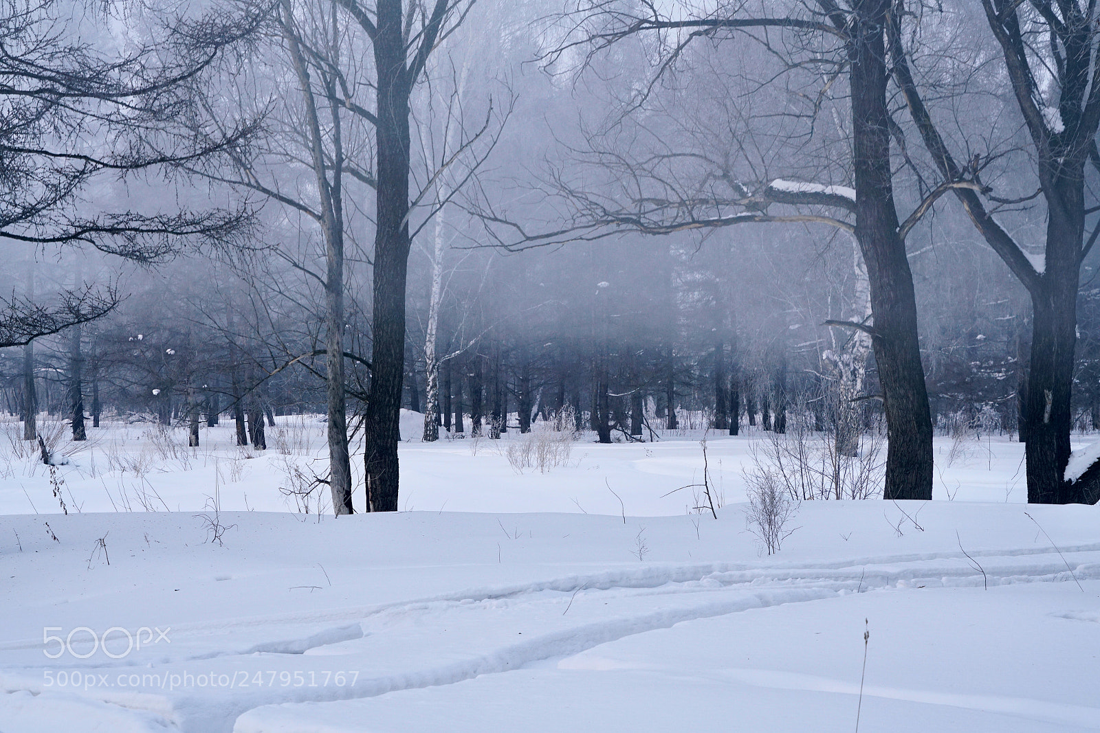 Sony a7R II sample photo. Untitled photography