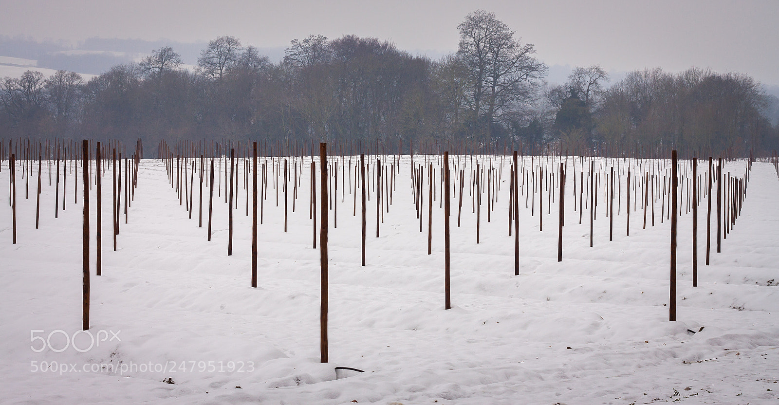 Canon EOS 50D sample photo. Poles apart photography