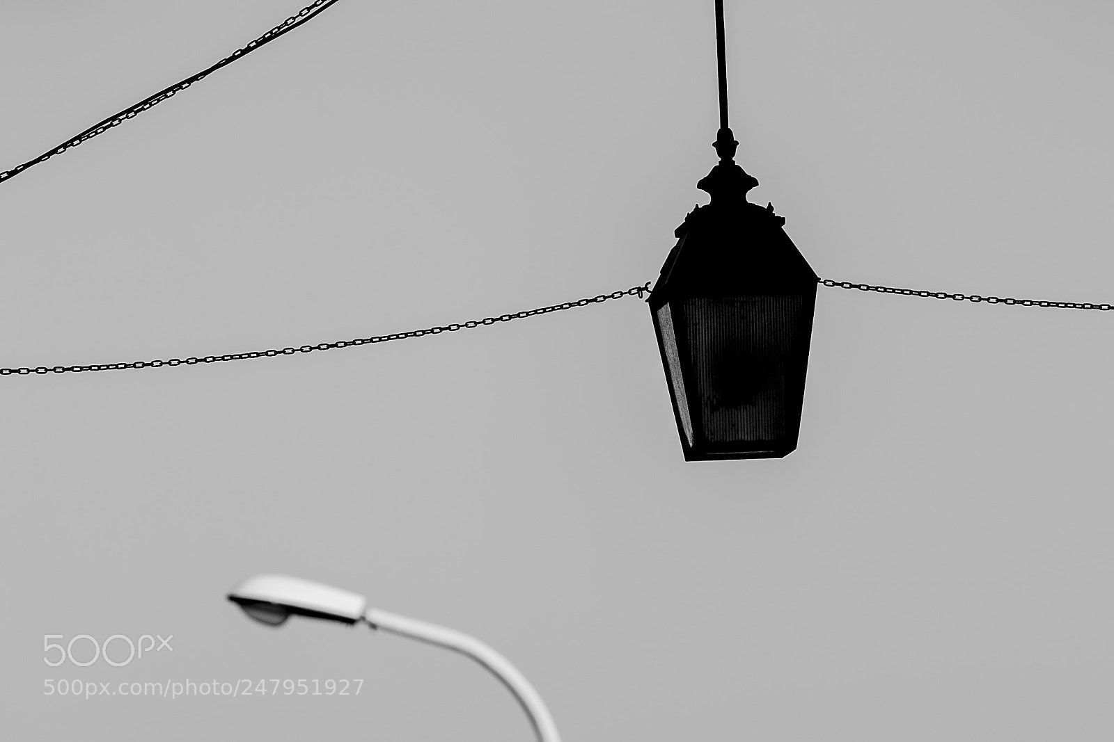 Nikon D7100 sample photo. Untitled photography