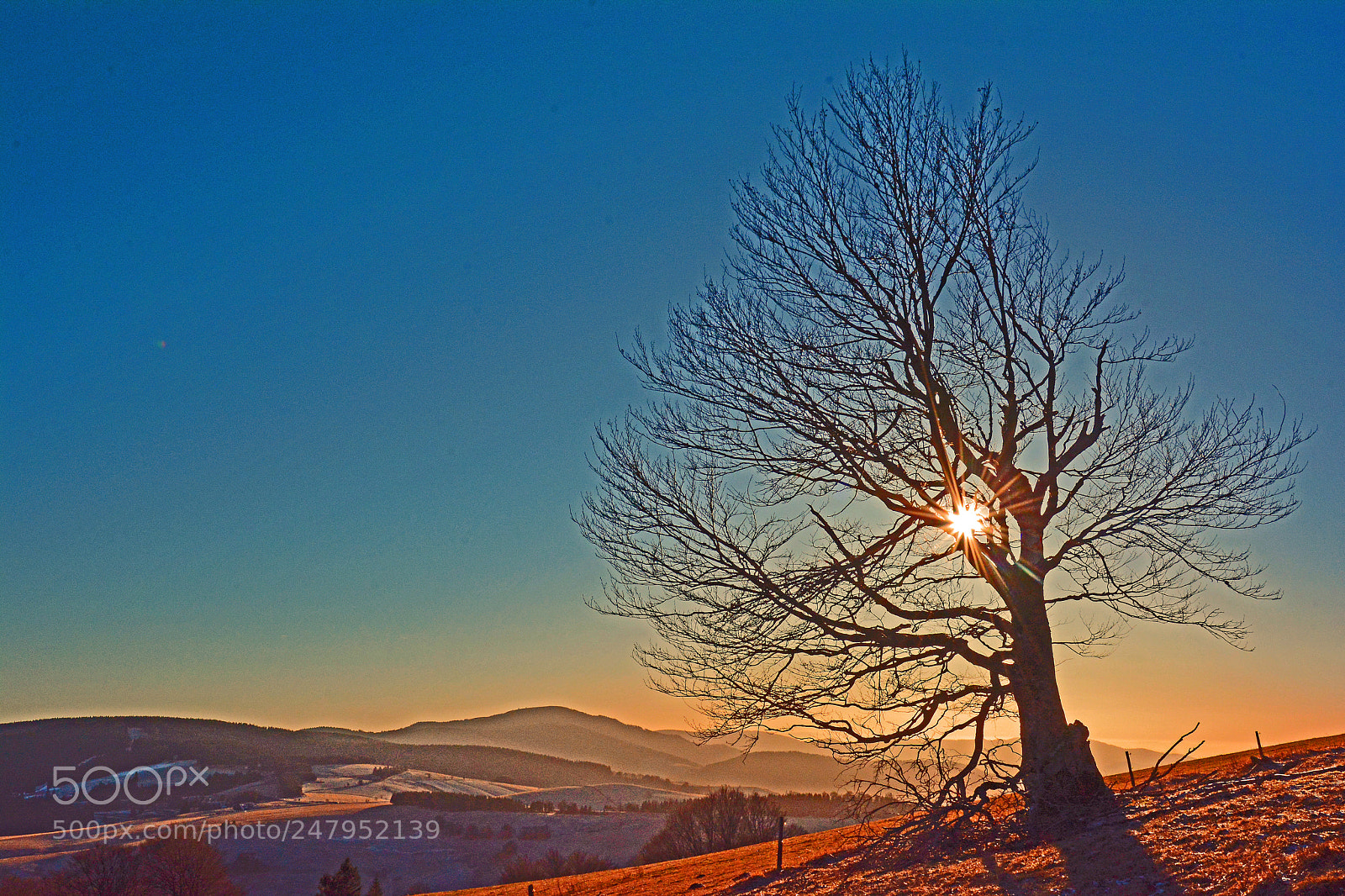 Nikon D7100 sample photo. Winter sun photography